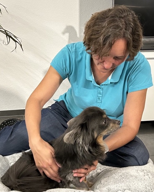 Erika behandelt den Chihuahua Kajan Erika behandelt den Chihuahua Kajan