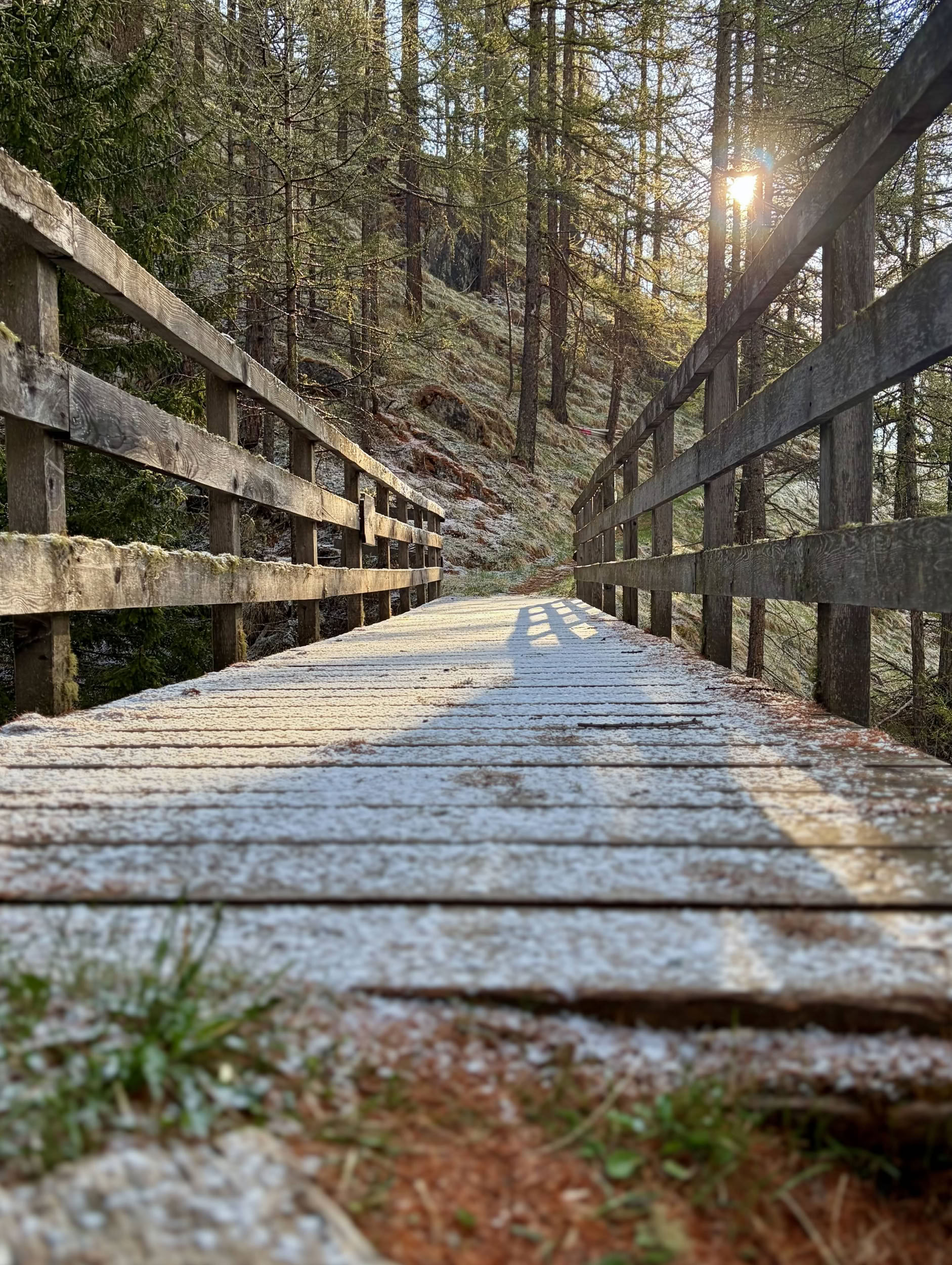 Holzbrücke im Wald mit Sonnenlicht, das durch die Bäume scheint.