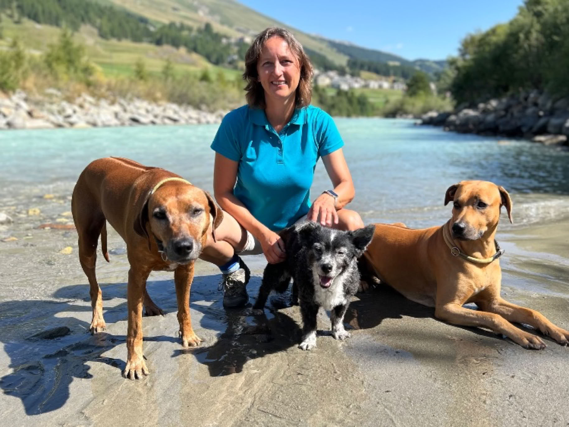 Eine Person in einem blauen T-Shirt kniet am Ufer eines Flusses mit drei Hunden; im Hintergrund sind Berge und Bäume zu sehen.